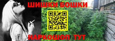 прущие крисы Ставрополь