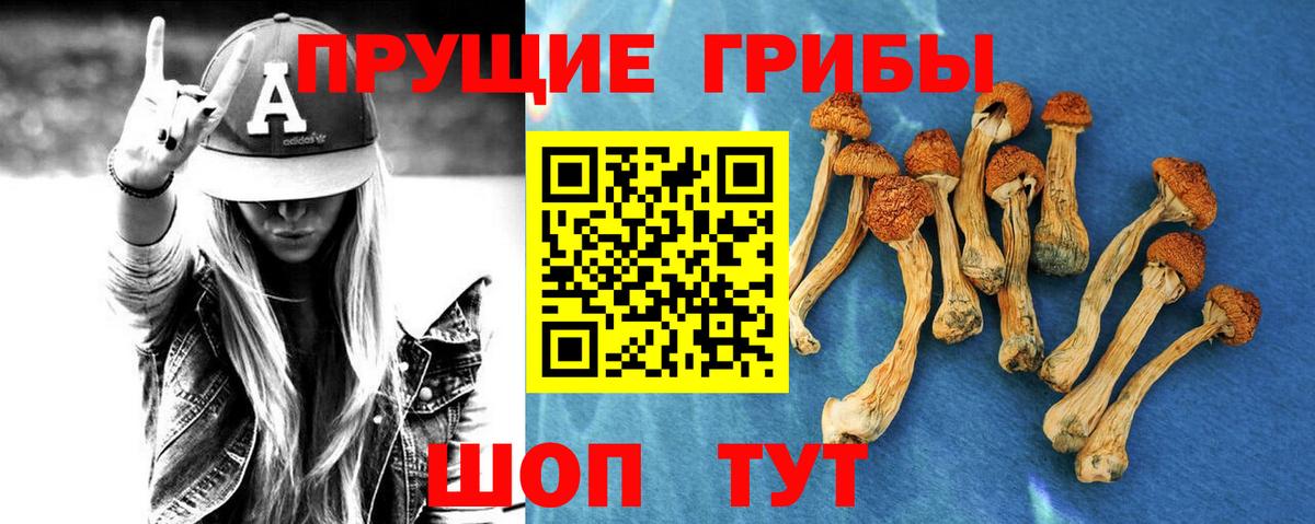 Будённовск  Псилоцибиновые грибы Magic Shrooms  Псилоцибиновые грибы GOLDEN TEACHER  наркошоп  Вход с VPN 